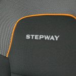 Sandero Stepway saede
