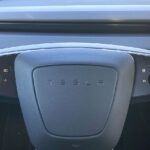 Tesla M3 Performance rat