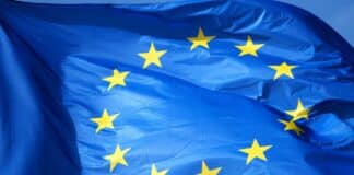 Det globale salg af elbiler er steget med ni procent EU-flag
