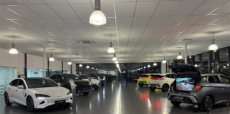 Importør: Svært at tjene penge på BYD