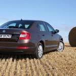 skoda-octavia-bag